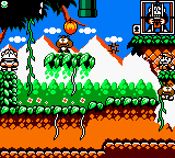 Donkey Kong Jr
